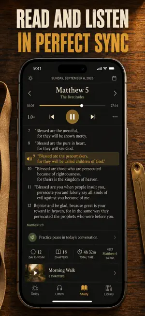 Audio Bible: Listen & Read screenshot 3