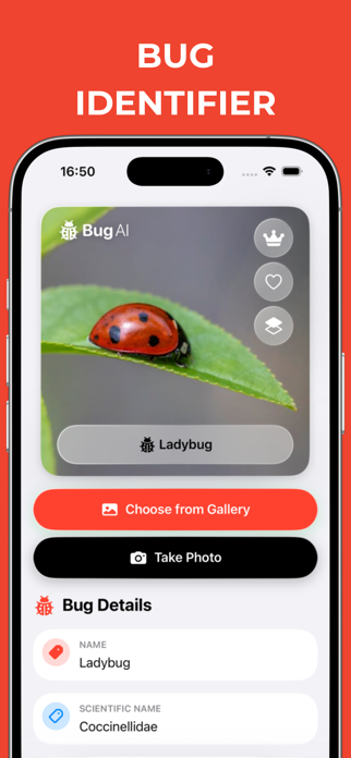 Bug Identifier! AI Scanner Screenshot 1 of 3
