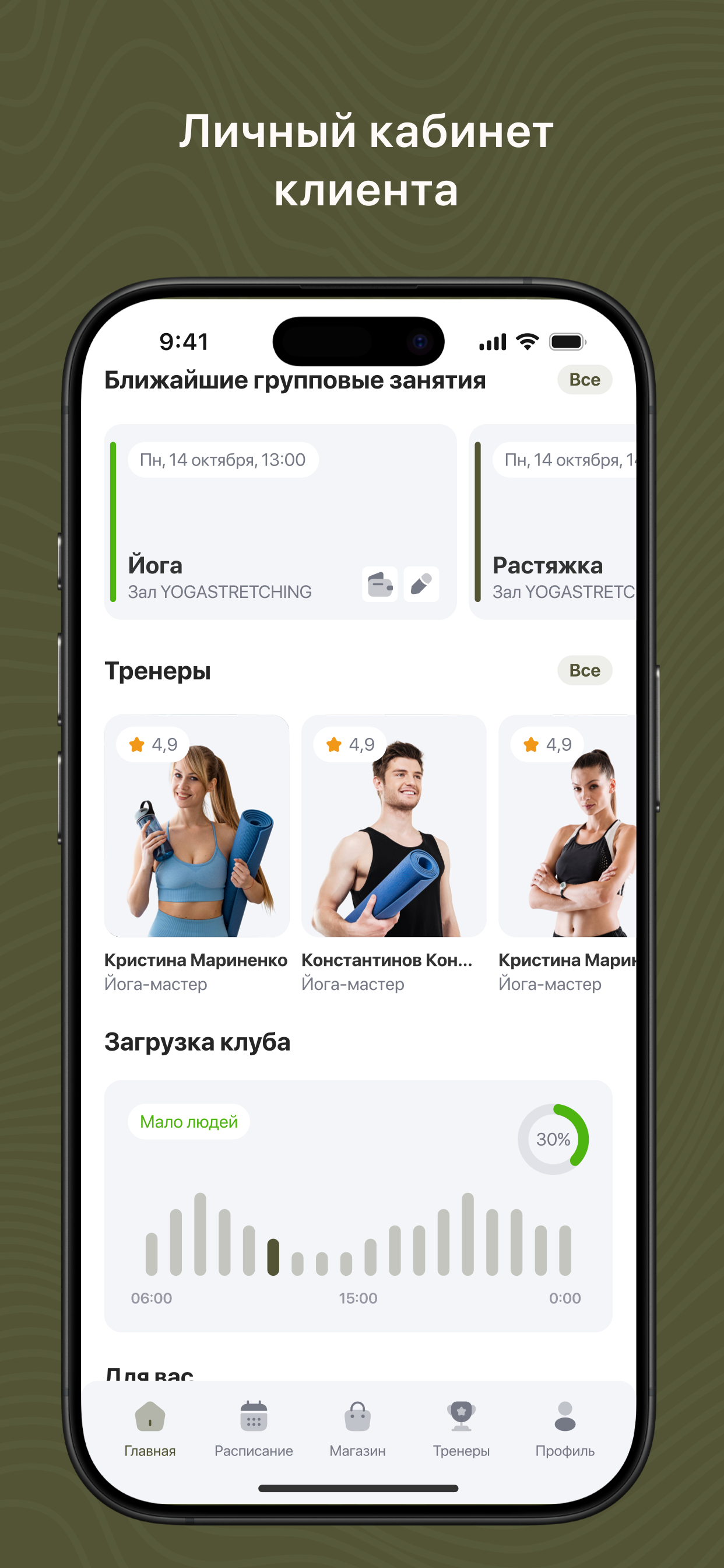 Студия Шёлк