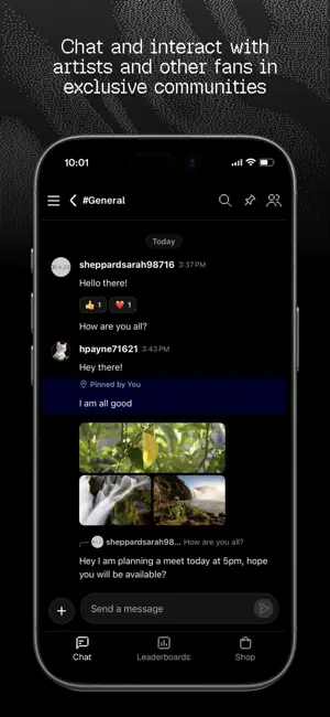 Steelo screenshot 3
