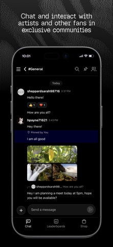 Steelo screenshot