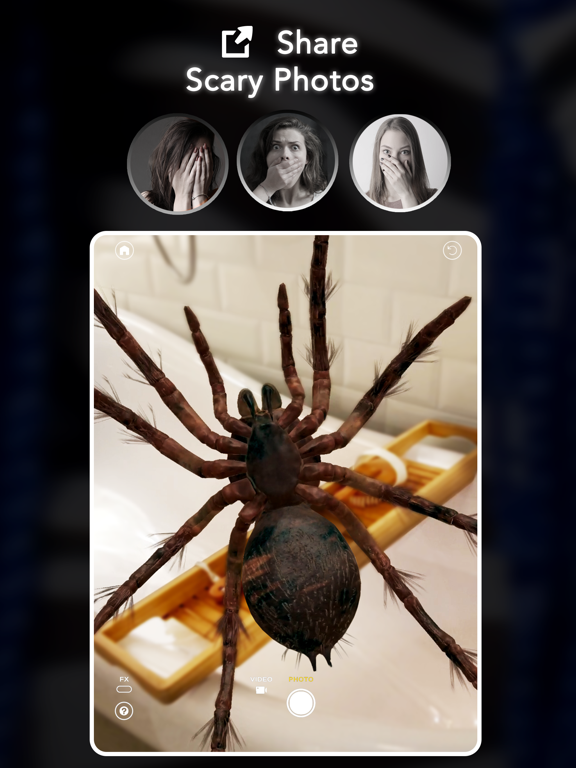 Screenshot #5 pour AR Spiders & Co: Scare friends