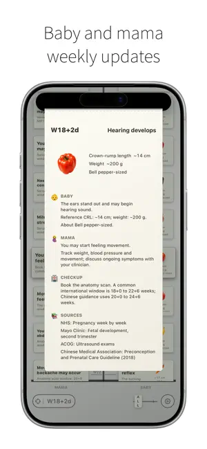 BumpWeek - Pregnancy Timeline screenshot 2