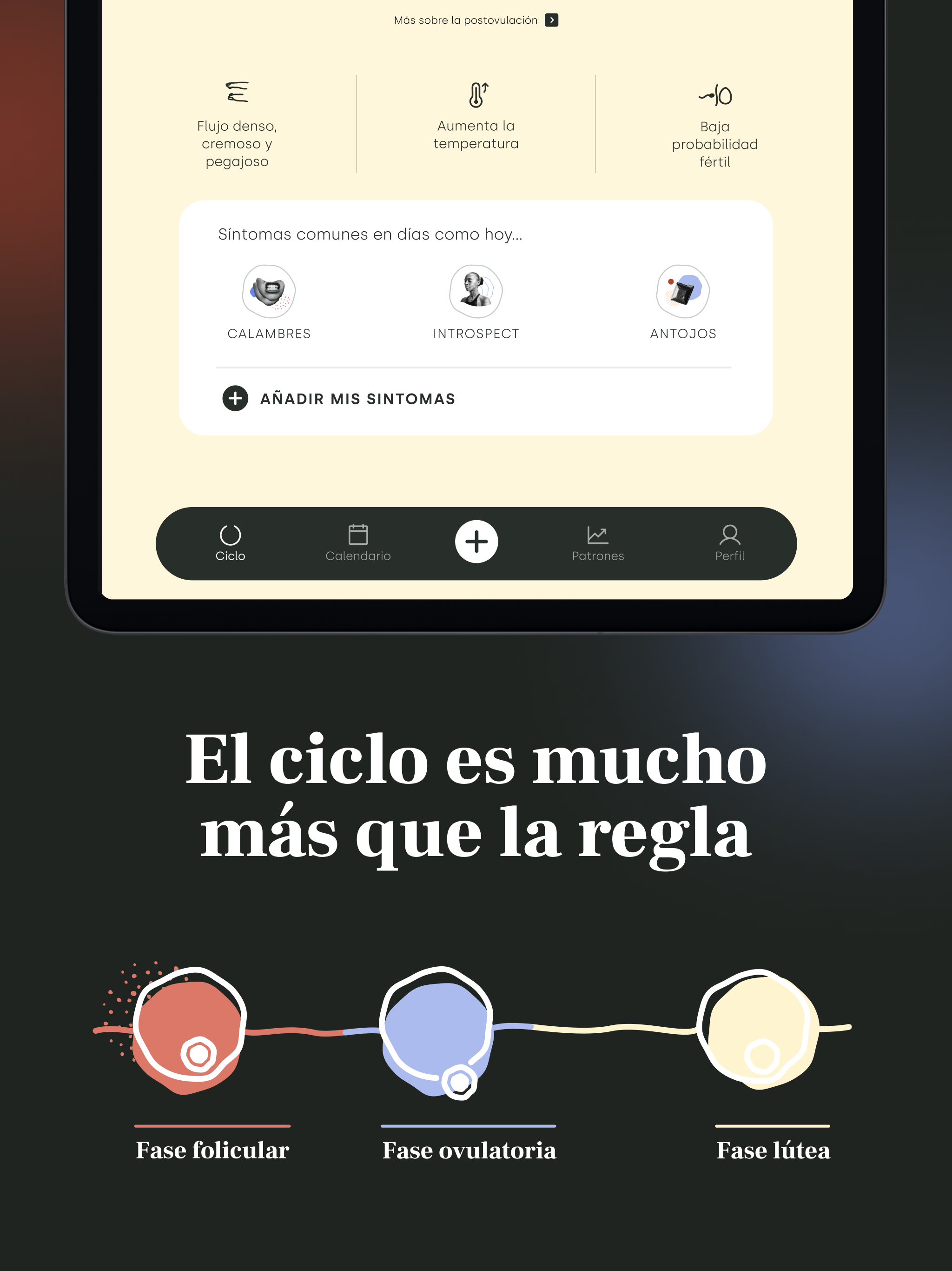Cicla · Calendario menstrual screenshot 8