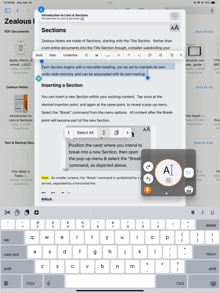 #2. Zealous Notes (iOS) 由: Jason Browning
