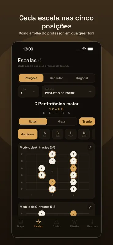 traste pro; escalas e braço screenshot 7 of 10