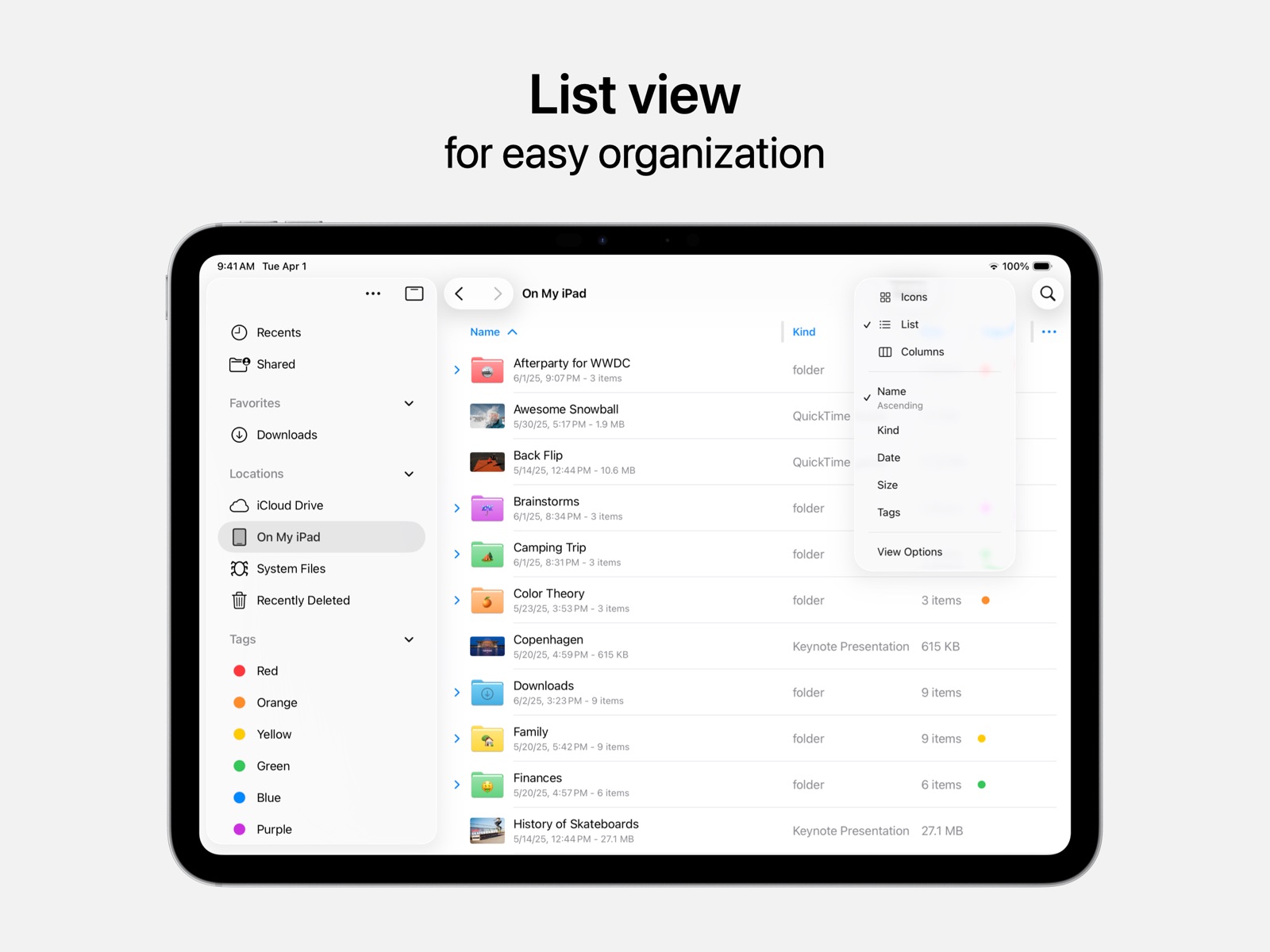 Files ipad screenshot 3