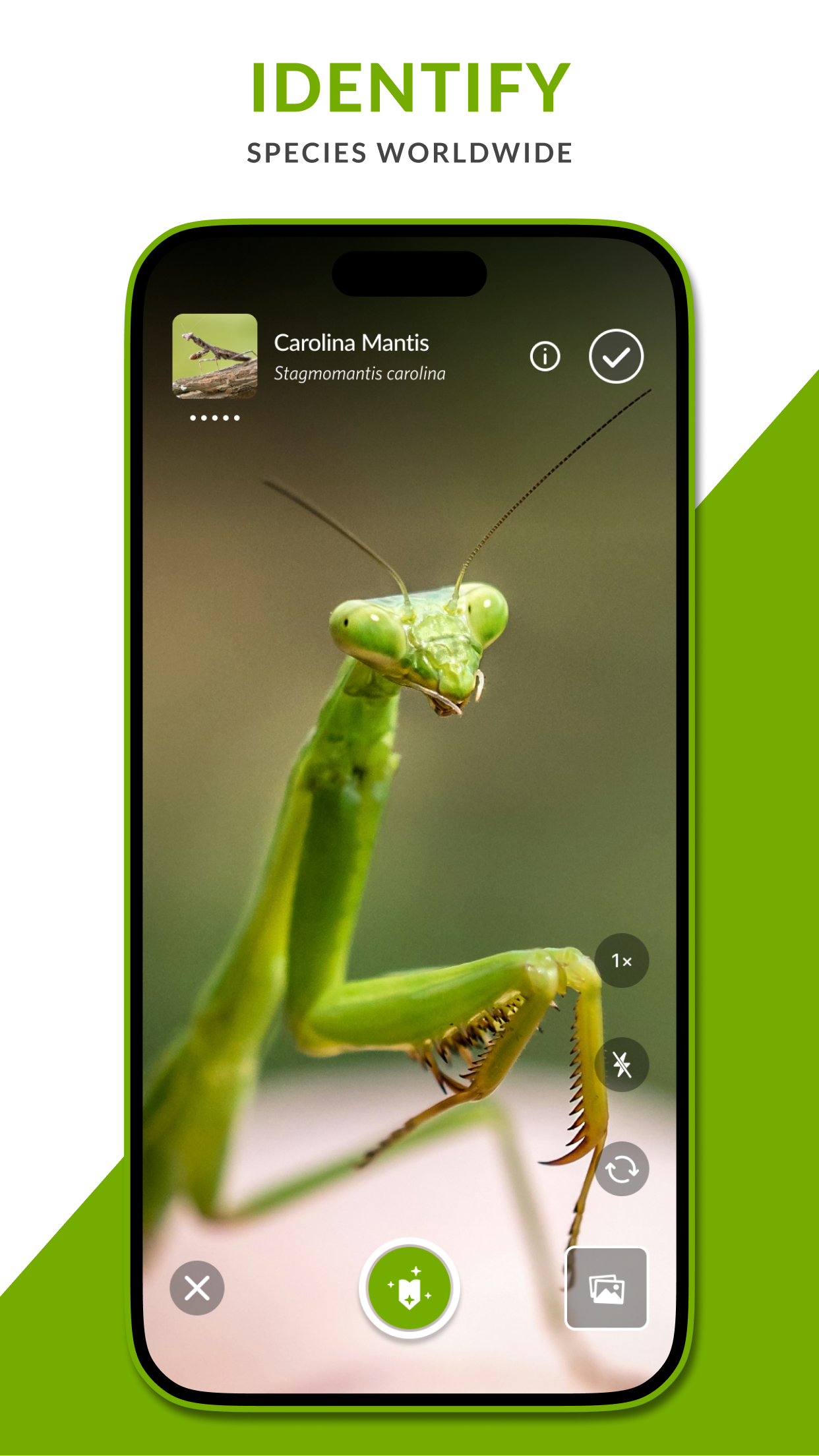iNaturalist screenshot 1