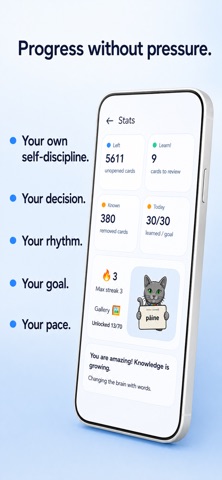 ENRURO: Vocabulary Flashcards iPhone screenshot