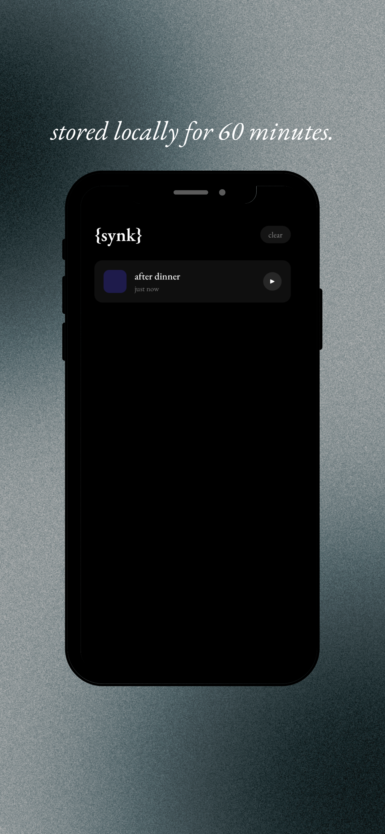 the synk screenshot 2