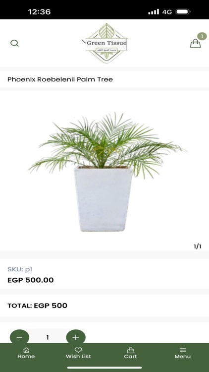 Green Tissue - النسيج الاخضر