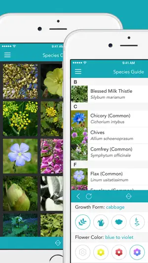 Medicinal Plants PRO · NM screenshot 2
