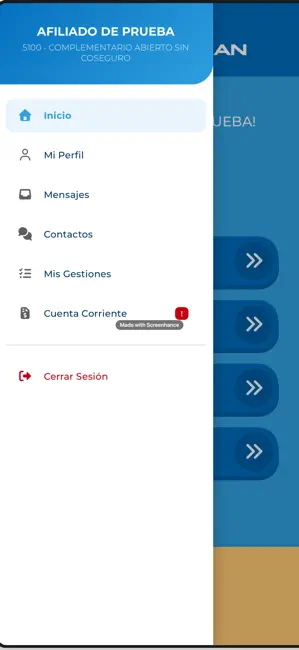 Bayres Plan iPhone screenshot 2