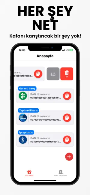 IBANmatik screenshot 2