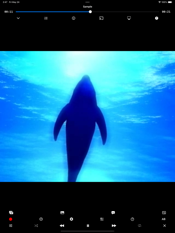 Screenshot #6 pour WMDPlayer