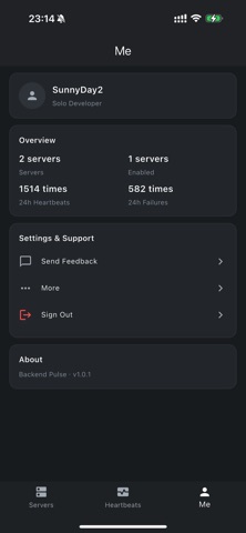 Backend Pulse Screenshot 4 of 4