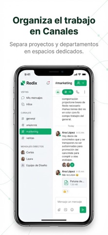 Redix screenshot