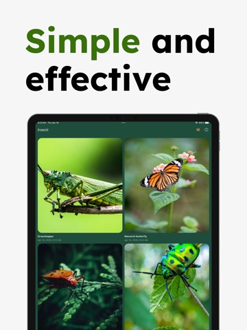 Insect Identifier - Insectr iPad screenshot