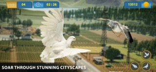 Pigeon Bird Flying Games 3D screenshot