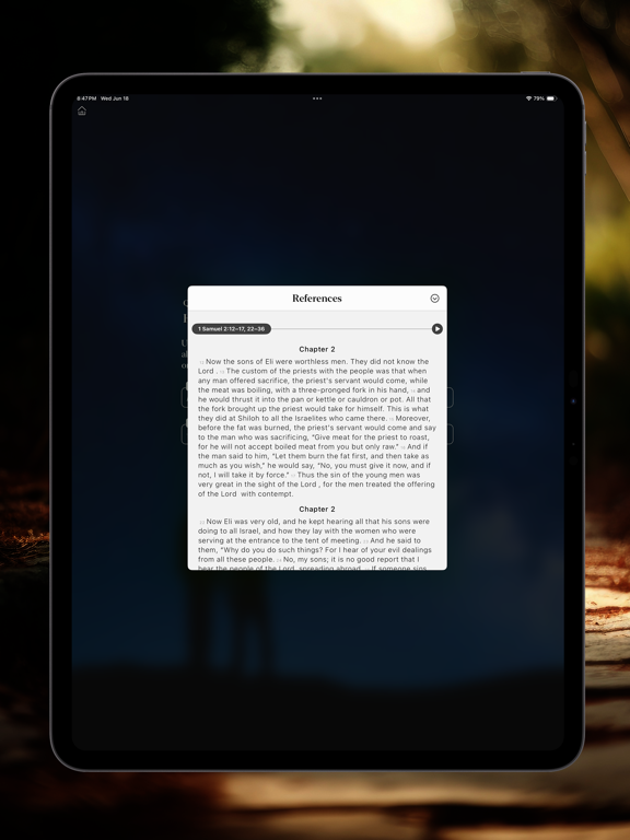 The Catechism iPad screenshot