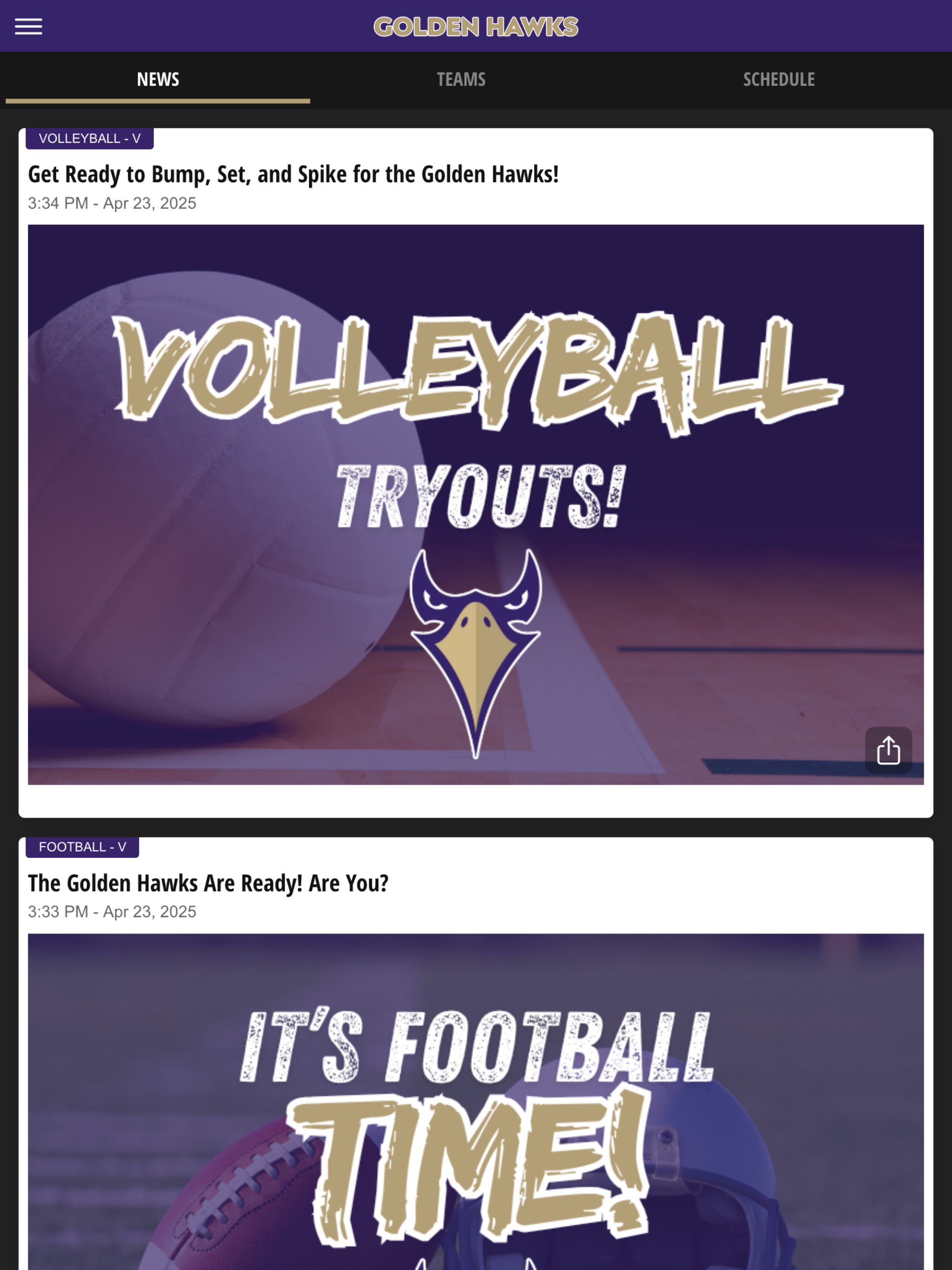 Holly Springs Golden Hawks