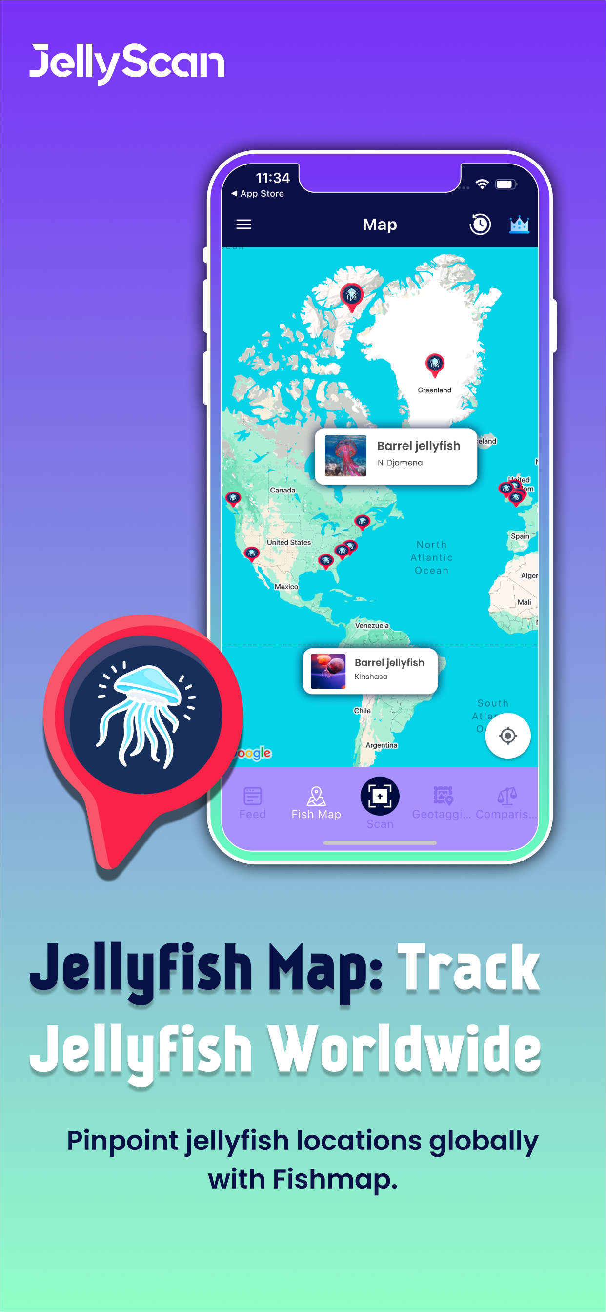 JellyScan - Identify Jellyfish