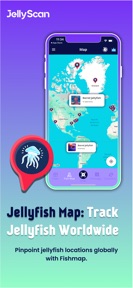 JellyScan - Identify Jellyfish screenshot