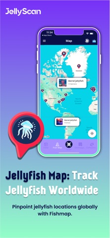 JellyScan - Identify Jellyfish screenshot