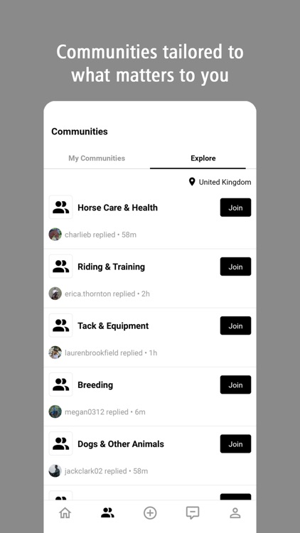 Haylo: for Equestrians