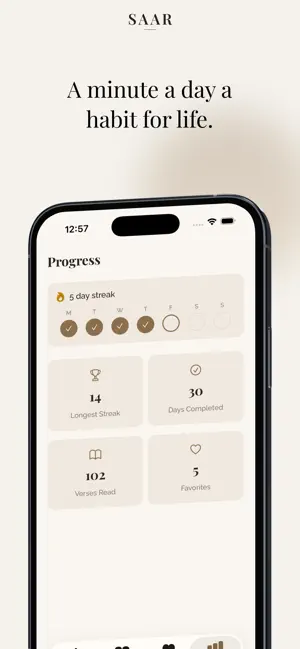 Saar — Gita & Reflection screenshot 3