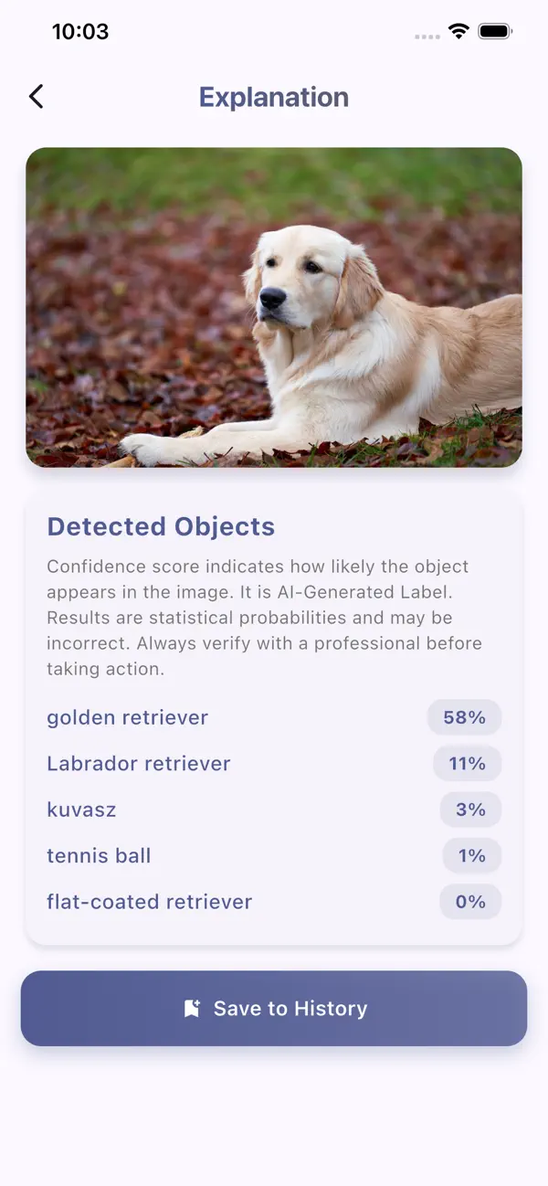 #3. Explain This Image (iOS) Ved: Lu Li