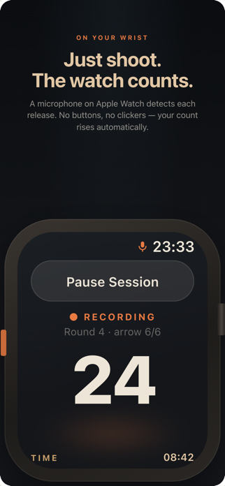 Arrow Tempo Screenshot 3 of 7