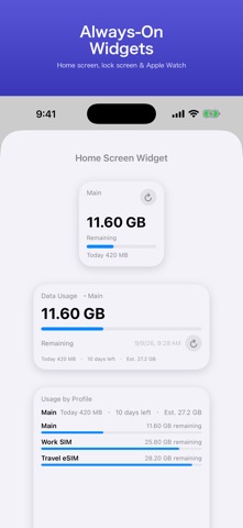 GigaGuard: Data Usage Widget Screenshot 2 of 6