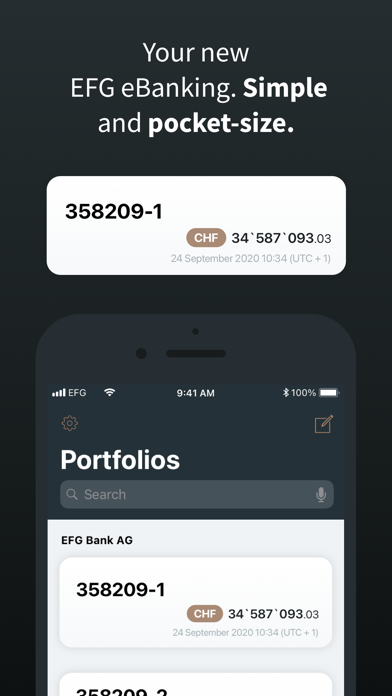 EFG Banking Screenshot