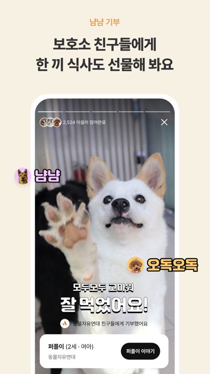 OUUL 아울 - 댕냥이들의 찐놀이터 screenshot-8