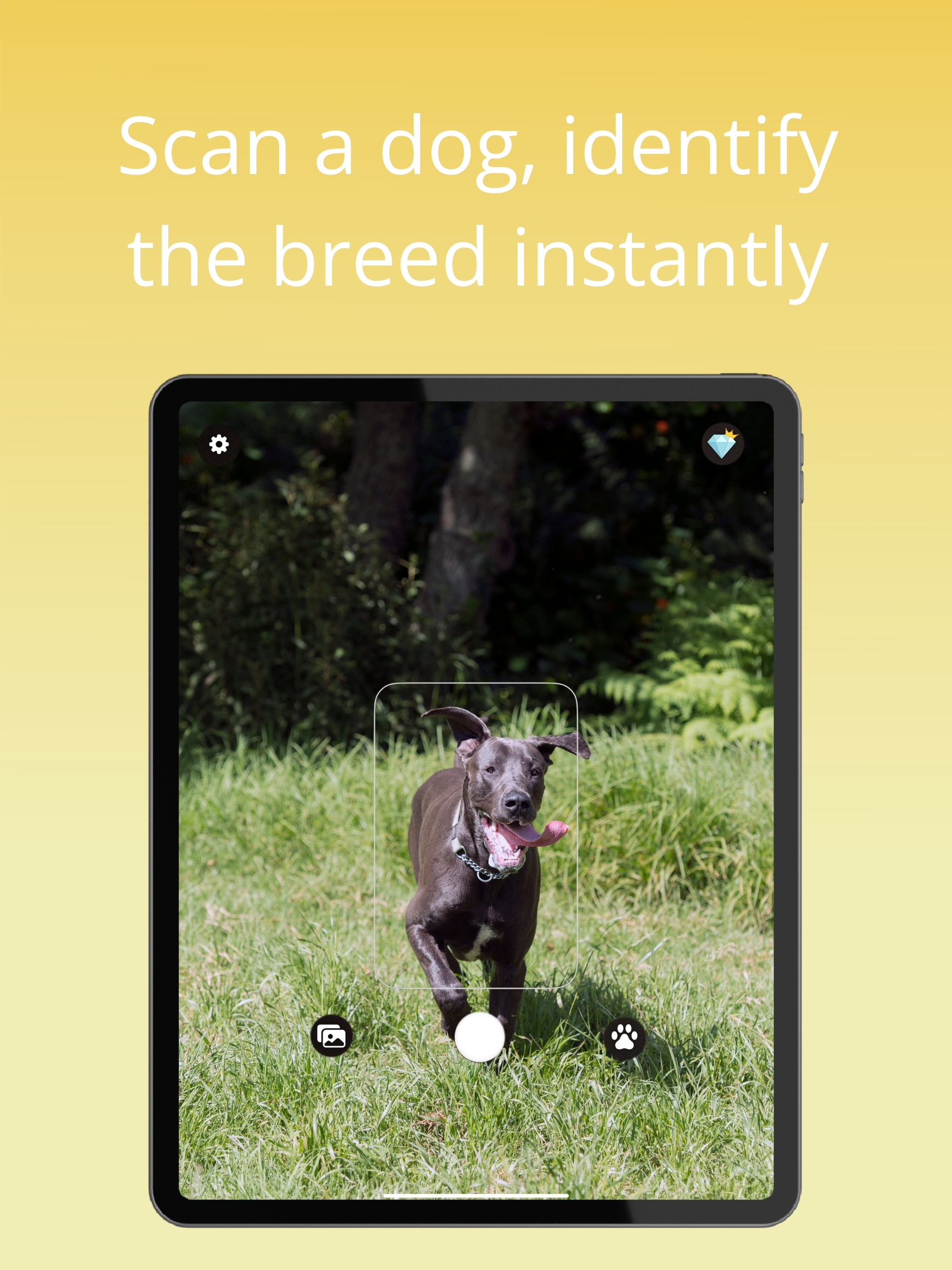 Dog ID - Dog Identifier screenshot 5