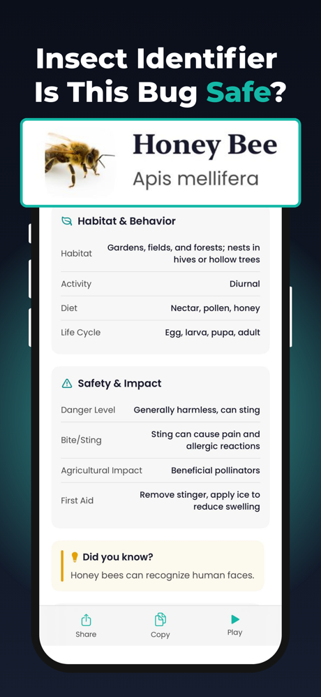Lens AI: Scan & Image Search screenshot 5