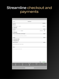 Boulevard Professional screenshot 11
