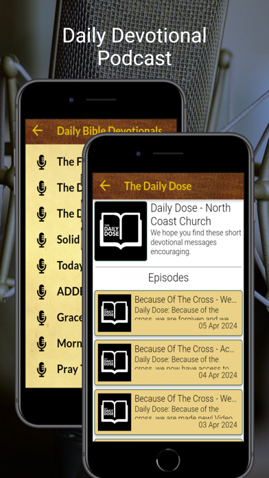NLT Study Bible Audio Screenshot