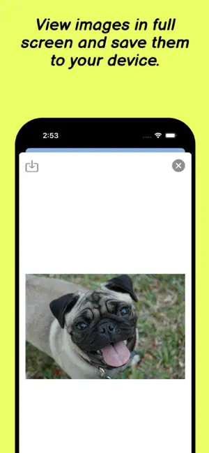 Dog Breeds Quiz screenshot 3