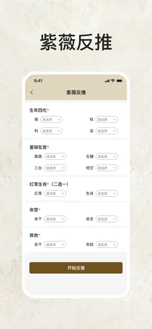 紫薇排盘-紫微斗数八字排盘算命大师 screenshot 4