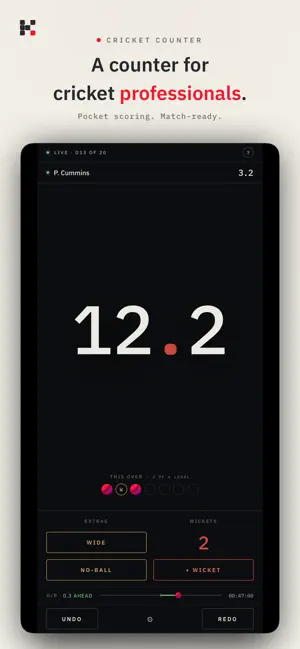 Cricket Umpiring Counter screenshot 1