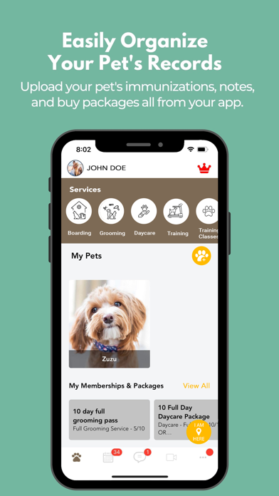 The Doggy Dojo Screenshot