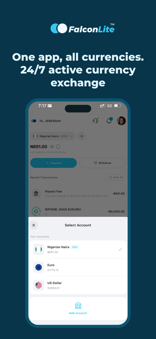 Falconlite Screenshot 1 of 4