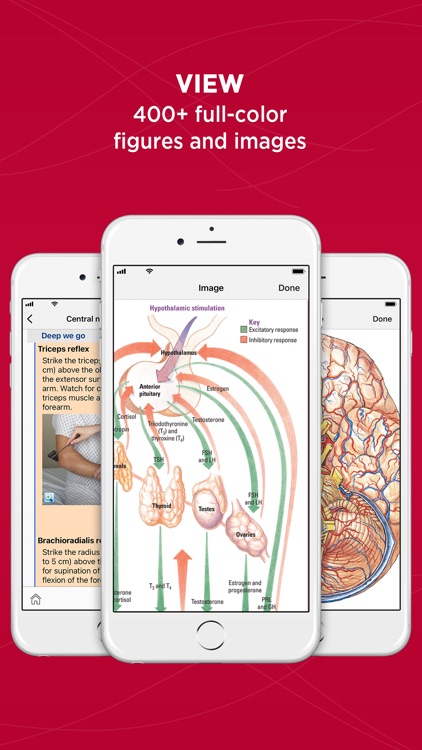 Anatomy & Physiology Made Easy