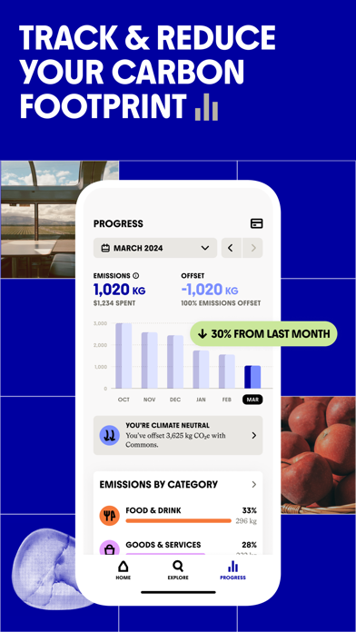 Commons: Sustainable Spending Screenshot