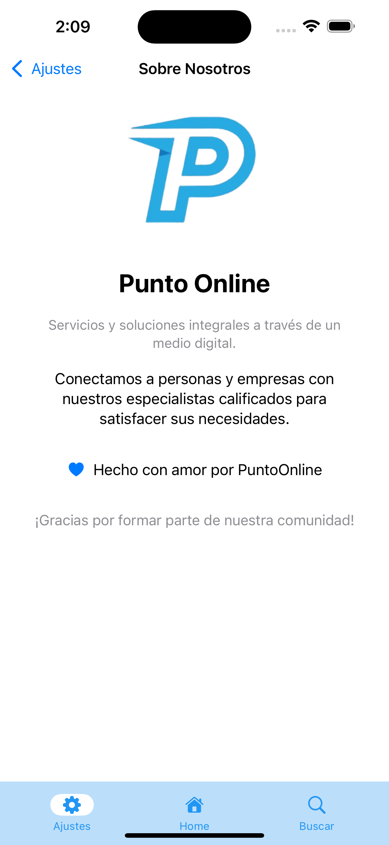 Punto Online screenshot 10
