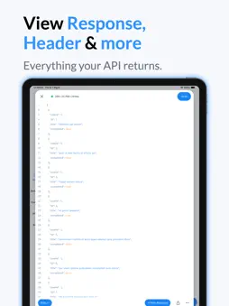 API & HTTP Client screenshot 12