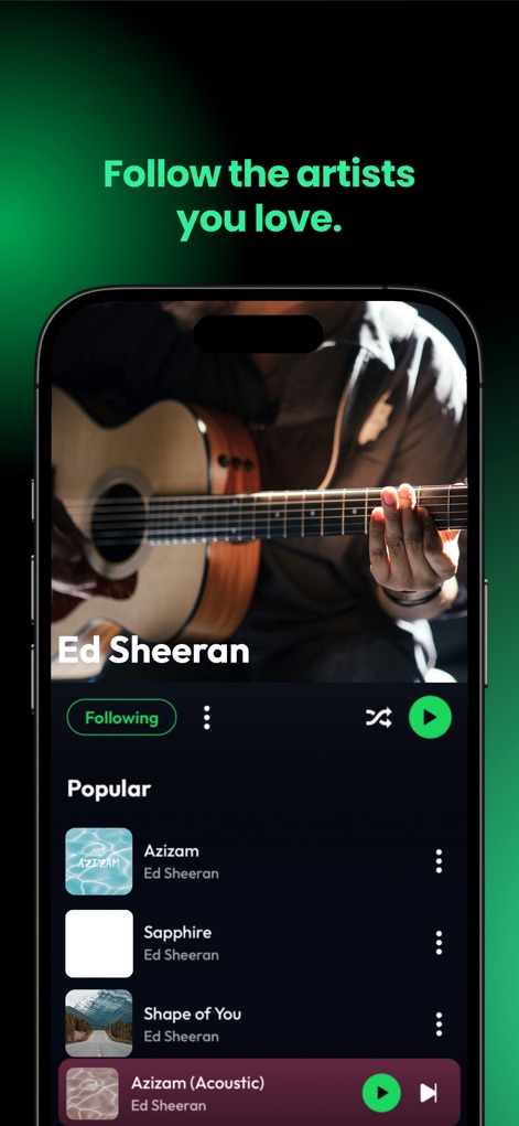 Lyra - Music, Radio, eSound - Immerse oneself in artist profiles, highlighted by a prominent artist image and an organized section displaying popular track listings.