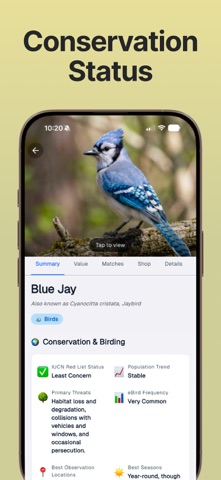 Bird Sound Identifier Call Id iPhone screenshot
